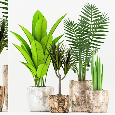 Rusty Pot Plant Set: Dracaena, Baana, Sansevieria & Palm 3D model image 1 