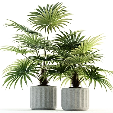 Lush Greens Collection: 94 Varieties 3D model image 1 