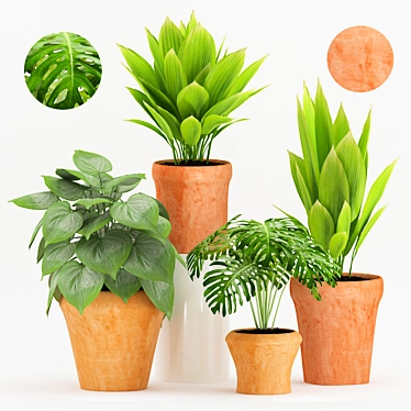 Tropical Plant Trio in Terracotta 3D model image 1 