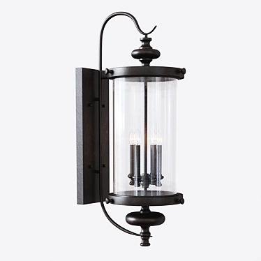 Elegant Palmer Wall Lantern 3D model image 1 