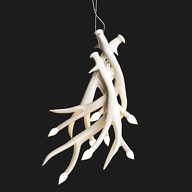 Superordinate Antlers chandelier 4 antlers white von Roll & Hill