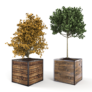 Boxed Wood Trees: Natural Greenery 3D model image 1 