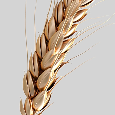 Golden Grain Harvest 3D model image 1 