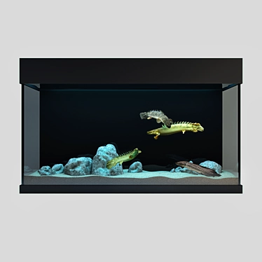 Predatory Fish & Aquarium Set 3D model image 1 