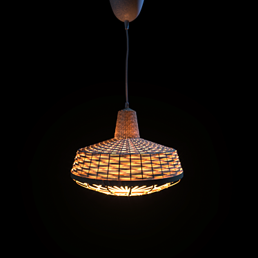 Industrial Bamboo Pendant Lamp 24cm 3D model image 1 