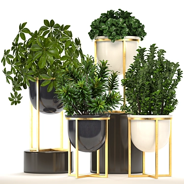 Luxury Interior Plant Collection 3D model image 1 