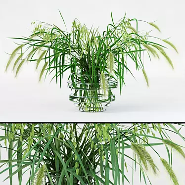  Realistic Northern Sea Oats & Pennisetum Green 3D model image 1 