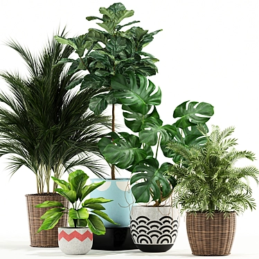 115 Plant Collection: Exquisite Variety for Every Space 3D model image 1 