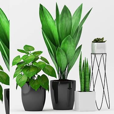 Trendy Green Plant Set 3D model image 1 