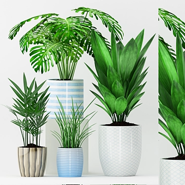 Green Oasis: Aspidistra, Howea, Monstera & Grass 3D model image 1 