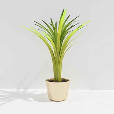 Houseplant Verdun Green