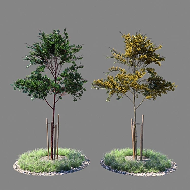 Fresh Sapling Duo 3D model image 1 