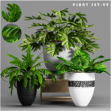 Stylish Plant Decor Set 3D model image 1 