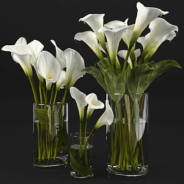 Elegant Calla Lily Bouquets
(Translated from Russian: Элегантные букеты Каллы) 3D model image 1 