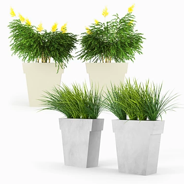 Stylish Outdoor Planter - IL VASO 3D model image 1 