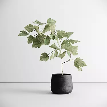 Scandinavian Greenery: Nordic-Style Plant 3D model image 1 