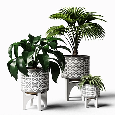 Versatile Plants Set 07: 3D Models for V-Ray and Fstorm 3D model image 1 