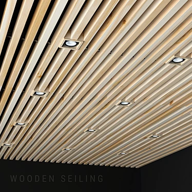 Elegant Wooden Ceiling with Aluminum Light Fixtures 3D model image 1 