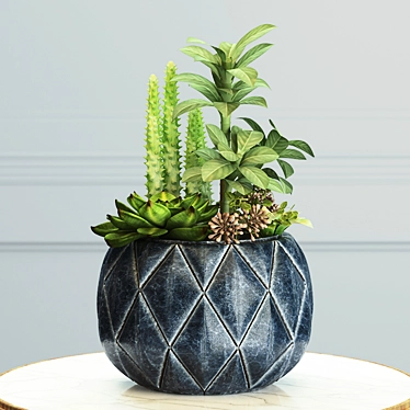 Modern Succulent & Cactus Arrangement 3D model image 1 
