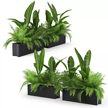 Tropical Palm Plant  Unique 3D Model 3D model image 1 