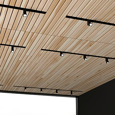 Wooden Ceiling Light Fixture: Edendesign Online Dot 3D model image 1 