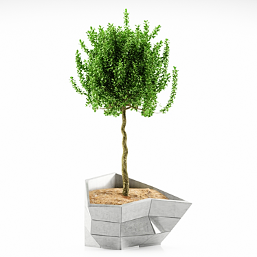 7-Plant Decor: Stylish & Versatile 3D model image 1 