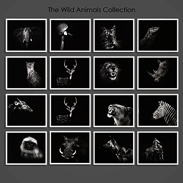 Wild Animals Series | Set of 16 Stunning Photos 3D model image 1 