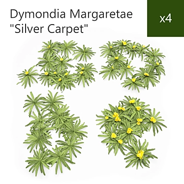 Silver Leaf Groundcover 3D model image 1 