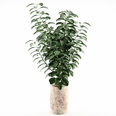 Elegant Plant Display: 12-Inch Deco Planter 3D model image 1 