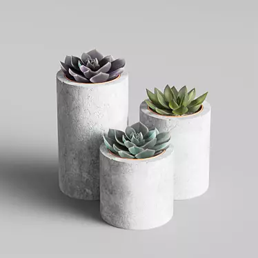 KRAPIVA Succulent Collection - Vibrant & Stylish Potted Plants 3D model image 1 