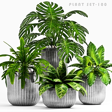 Vintage Planter Set - 100 3D model image 1 