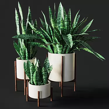 Sansevieria Plant Replica 3D model image 1 