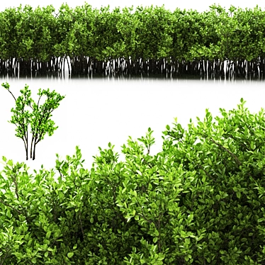 Green Oasis: Stylish Planter 3D model image 1 