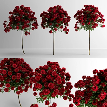  Dazzling Rose Lollipop Trio 3D model image 1 
