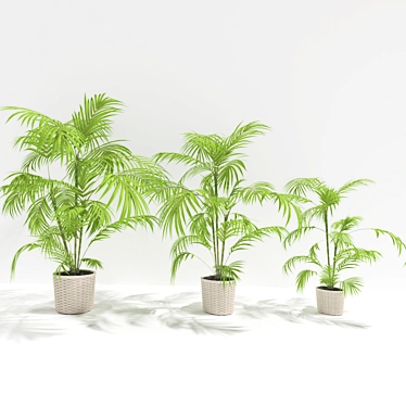 Tropical Bliss Plant Experience 3D model image 1 