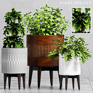 Nature's Oasis: Decorative Plant Set 3D model image 1 