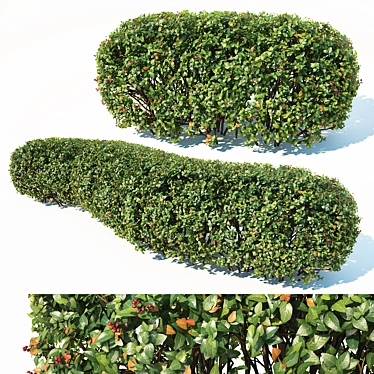 Customizable Cotoneaster Hedge - Height 115cm 3D model image 1 
