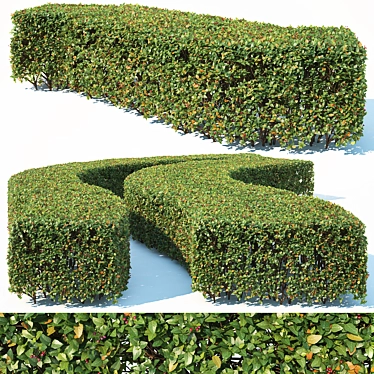 Lucidus #6 Rectangular Hedge 3D model image 1 