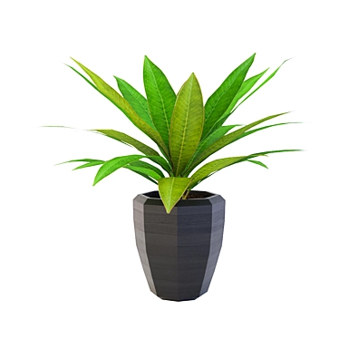 Tropical Artificial Plant in Black Pot 3D model image 1 