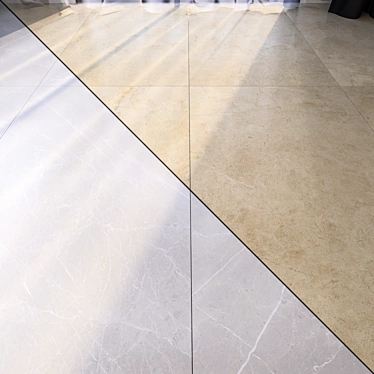  Elegant Marble Floor Tiles 3D model image 1 