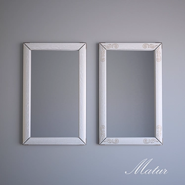 Elegant Wood-Framed Mirror: Milaya Nevesta 3D model image 1 