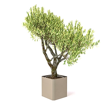 Exquisite Potted Greenery 3D model image 1 