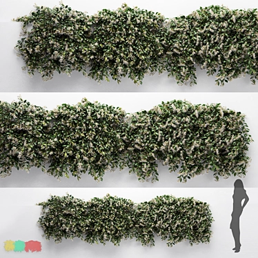 Modular Choisya Ternata Hanging Plants 3D model image 1 