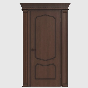 Elegant Ebony Door 3D model image 1 