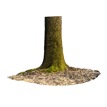 Acer Trunk: Realistic Moss Decor 3D model image 1 