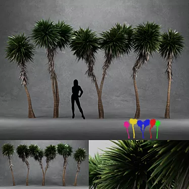 Tall and Distinctive 3D Cabbage Trees 3D model image 1 