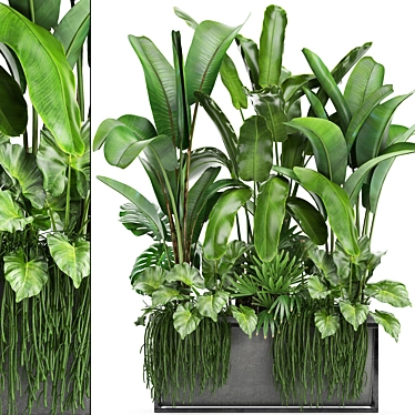 Tropical Plant Collection: Bananas, Monstera & More 3D model image 1 