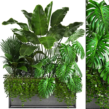 Exquisite Exotic Plant Collection 3D model image 1 