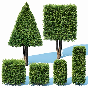 Lush Taxus Baccata Topiary Set 3D model image 1 