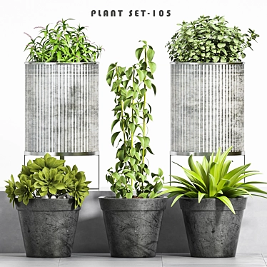 Boho Vibes: Decorative Planter Set 3D model image 1 